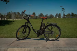 そもそも電動自転車がいらなかったという声