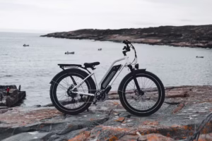 電動自転車を1ヶ月乗らないとどうなる？