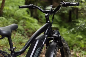 電動アシスト自転車の共通の欠点とは